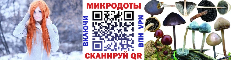 Галлюциногенные грибы прущие грибы  даркнет сайт  даркнет клад  Гатчина 